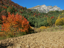 autunno