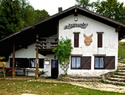 biaena