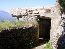 creino