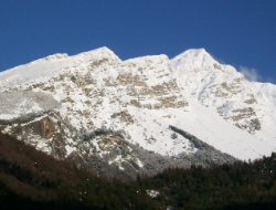 Dintorni title-3