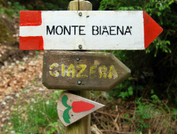 giazere