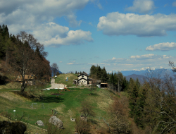 somator
